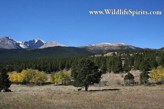 Click Picture to send as an  E-PostCard 59k 550x367